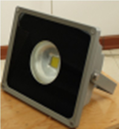LED Flood Light (JS(O)290TG50W-60D, DC/AC)